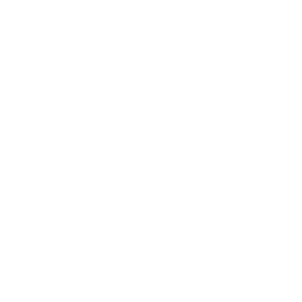 g04
