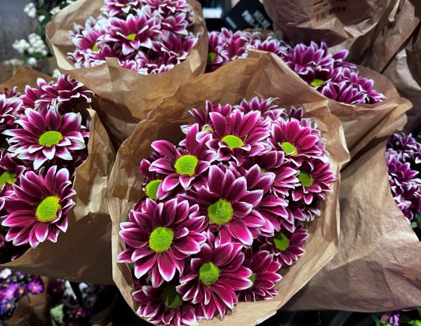 Blumenhüllen